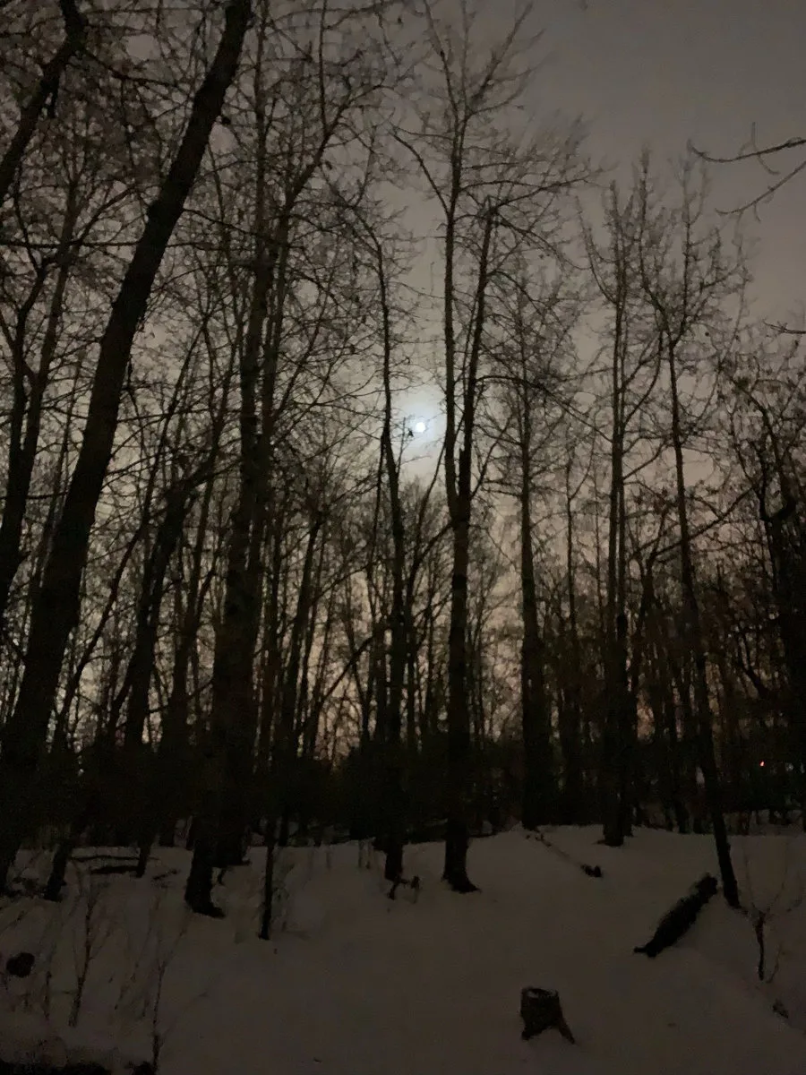 The Blackest Winter Black cover