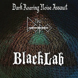 Dark Roaring Noise Assault cover