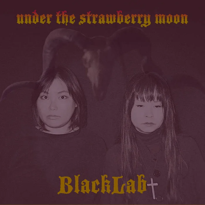 Under the Strawberry Moon cover