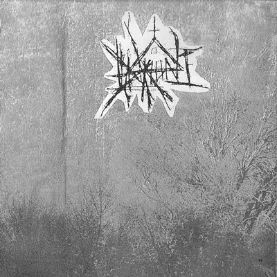 From the Chalice of Invokation Spells Will Curse Timeless Echoes cover