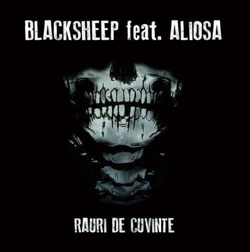 Râuri de cuvinte cover