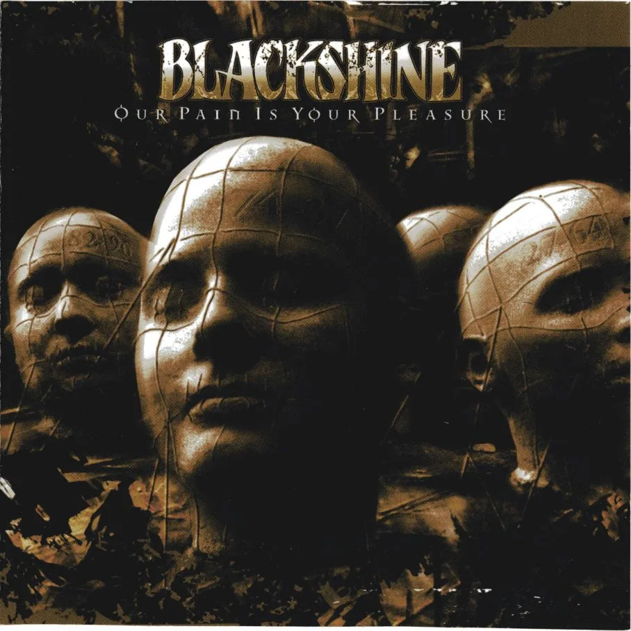 Our Pain Is Your Pleasure cover