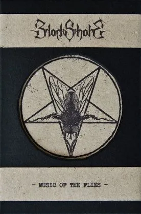 Music of the Flies cover