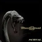 Mortal cover