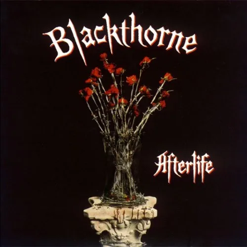 Afterlife cover