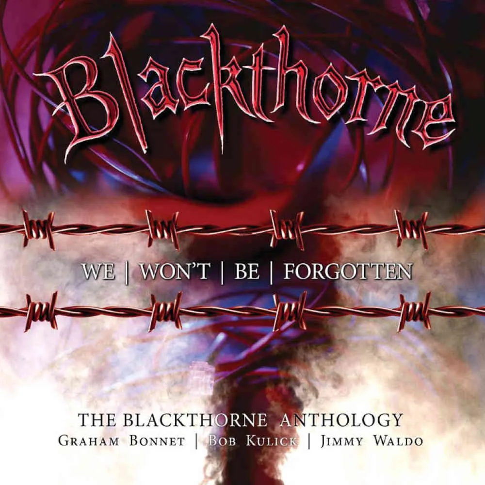 We Won't Be Forgotten - The Blackthorne Anthology cover