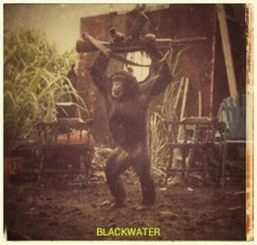 BlackWater cover