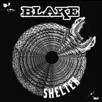 Shelter cover