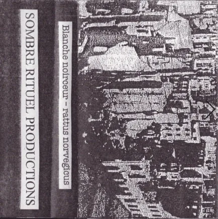 Blanche Noirceur / Rattus Norvegicus cover