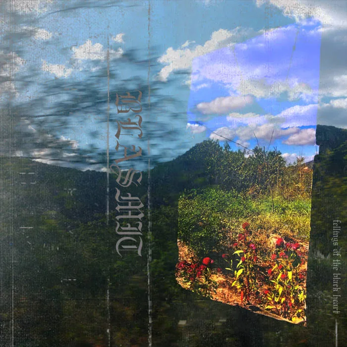 Fellings of the Black Heart cover