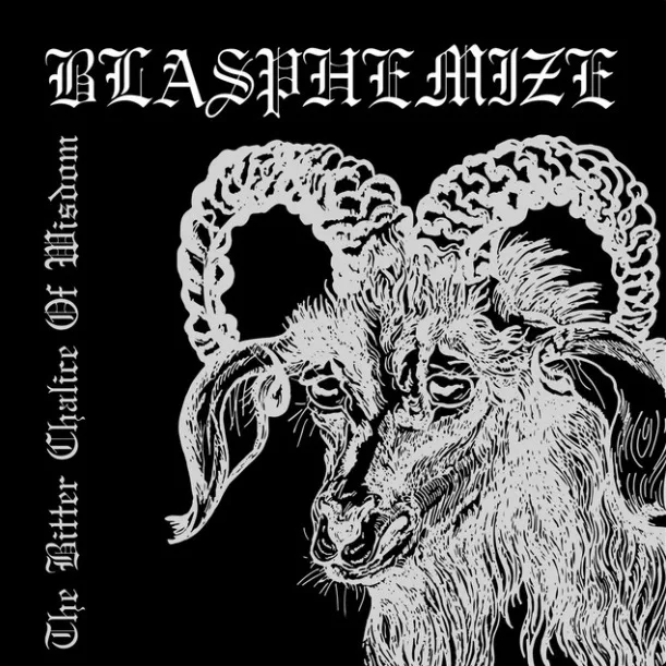 The Bitter Chalice of Wisdom cover