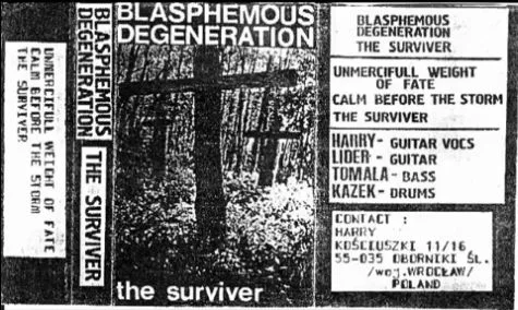 The Surviver cover