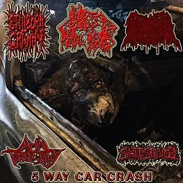 5 Way Car Crash cover