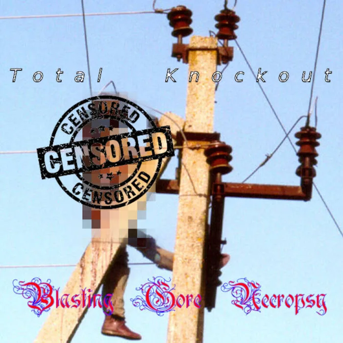 Total Knockout cover
