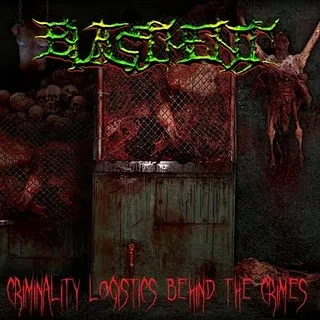 Criminality Logistics Behind the Crimes cover