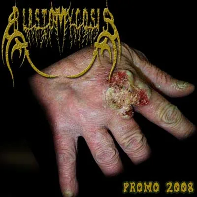 Promo 2008 cover