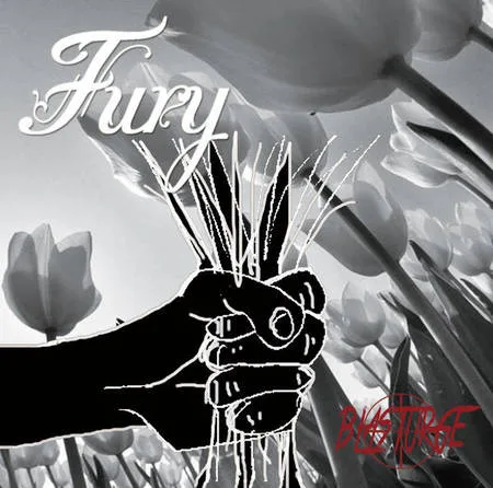Fury cover