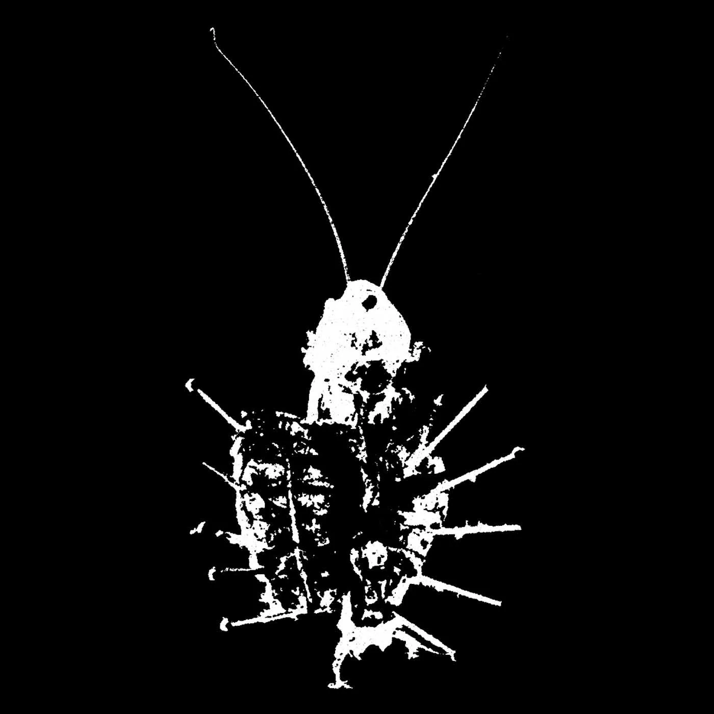 Life Is a Disease cover