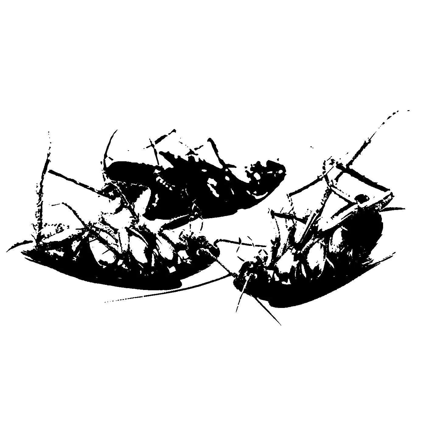 Dream, Dwell, Die cover