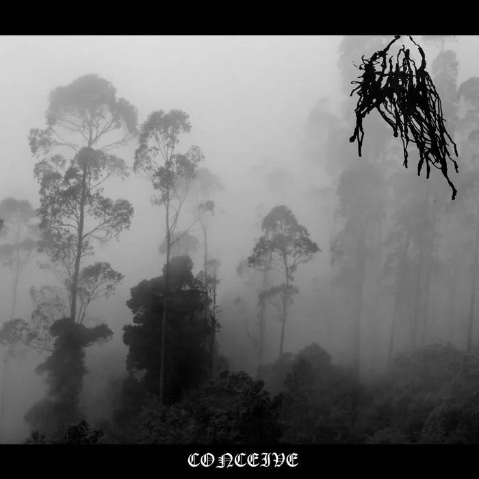 Conceive cover