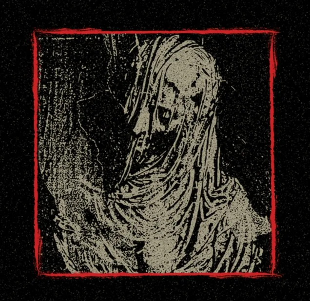 Black//Hawk / Disfare cover