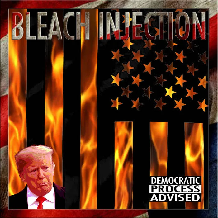 Democratic Process Advised cover