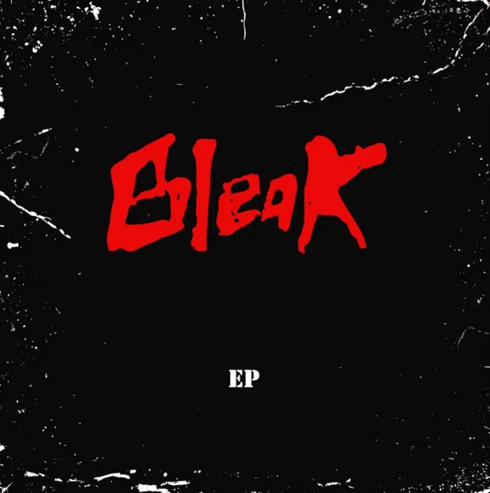 The Bleak cover
