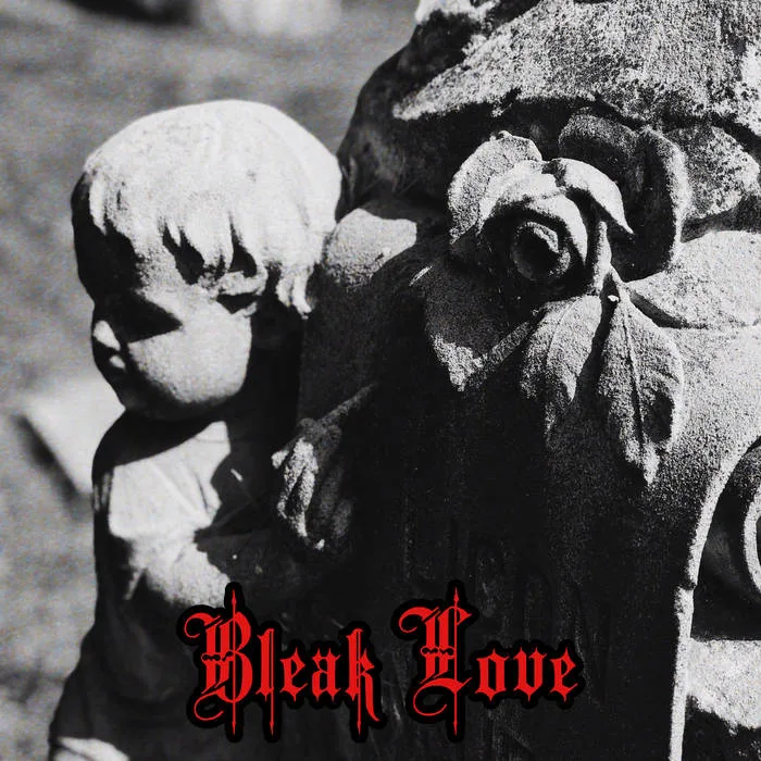 Cemetery Copulation cover