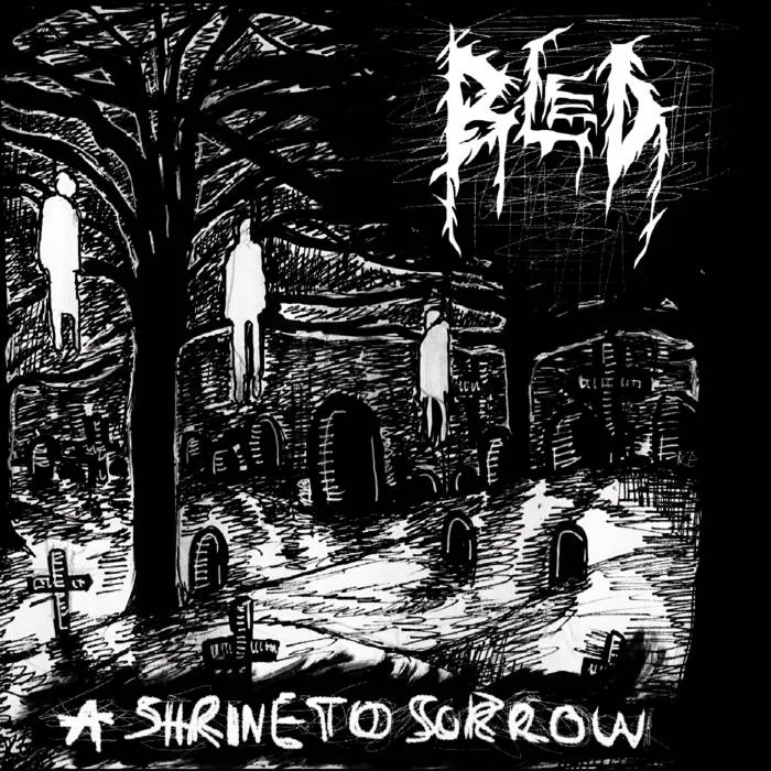 A Shrine to Sorrow cover
