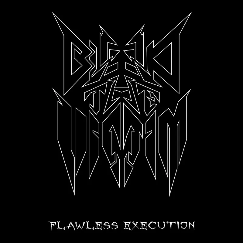 Flawless Execution cover
