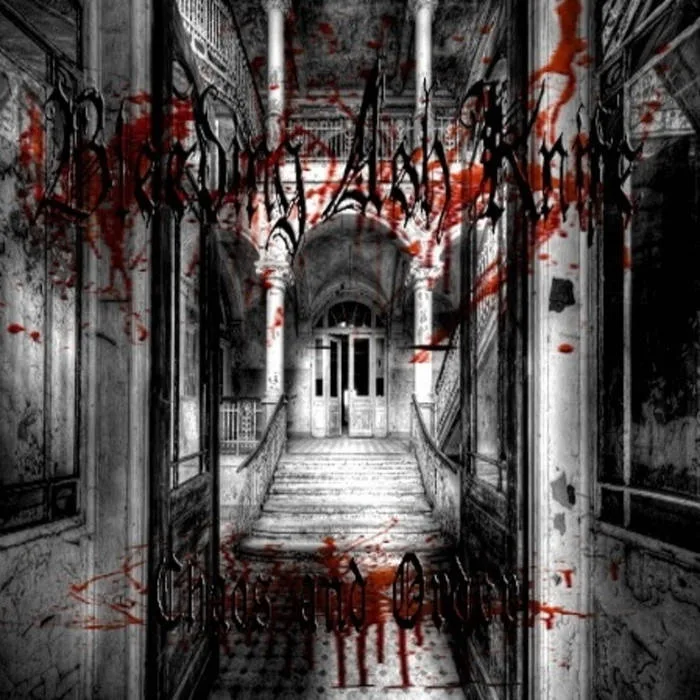 Chaos and Order cover