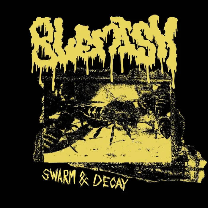 Swarm & Decay cover
