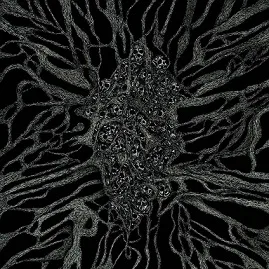 Between Roots and Darkness cover