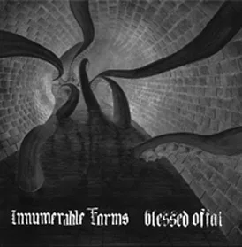 Innumerable Forms / Blessed Offal cover