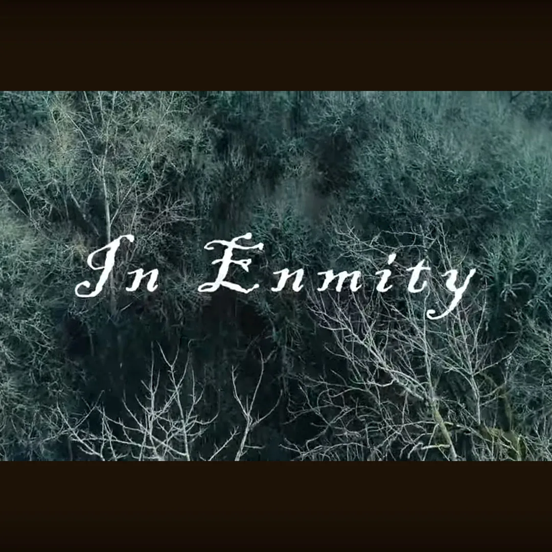 In Enmity cover