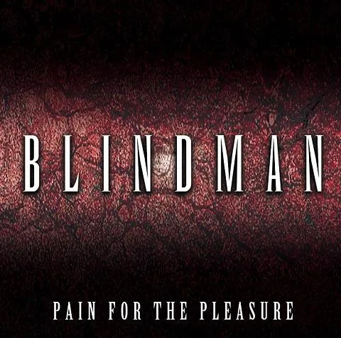 Pain for the Pleasure cover