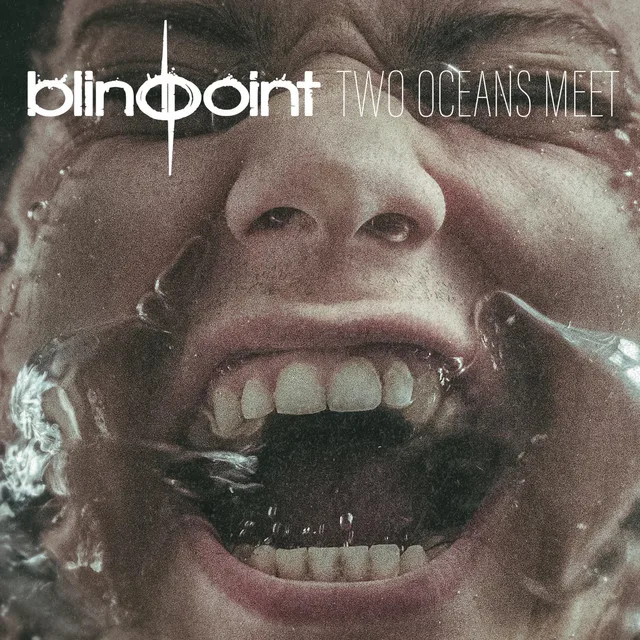 Two Oceans Meet cover