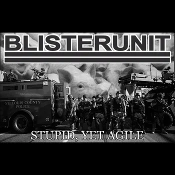 Stupid, Yet Agile cover