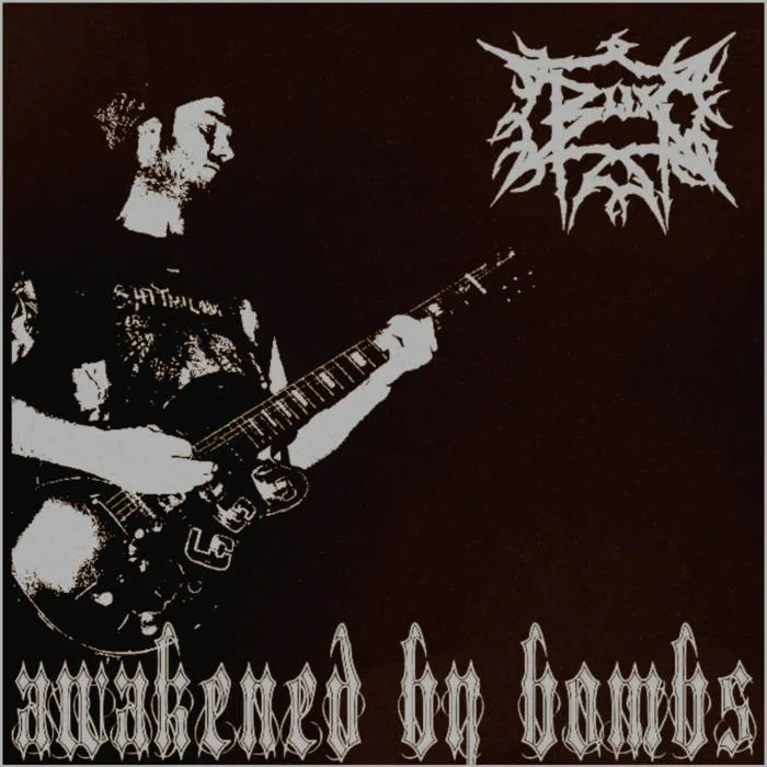 Awakened by Bombs cover