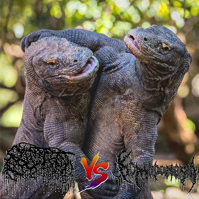 Bloat Vs Komodonesia cover