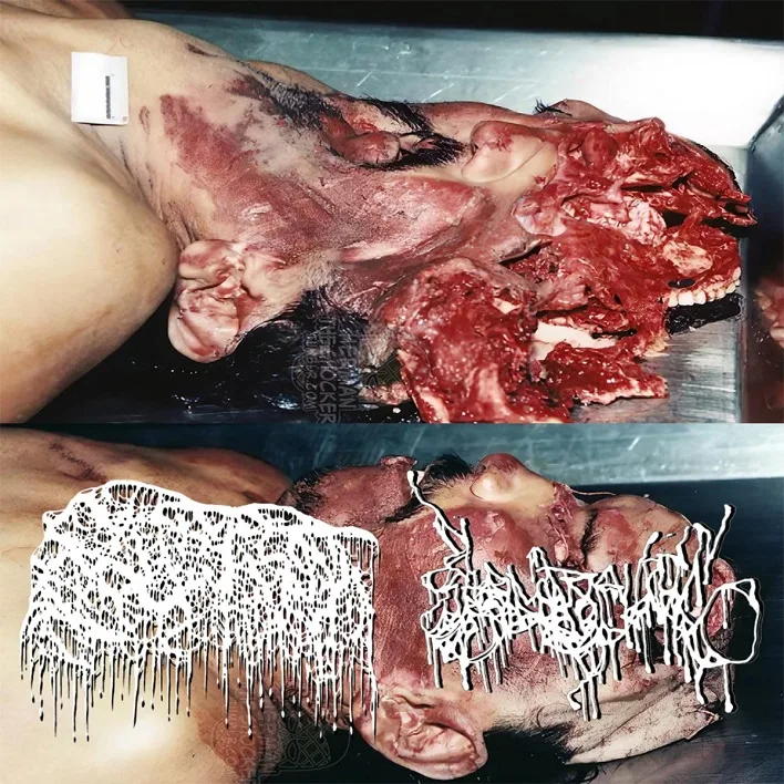 Bloat / K9 Hemorrhoids cover