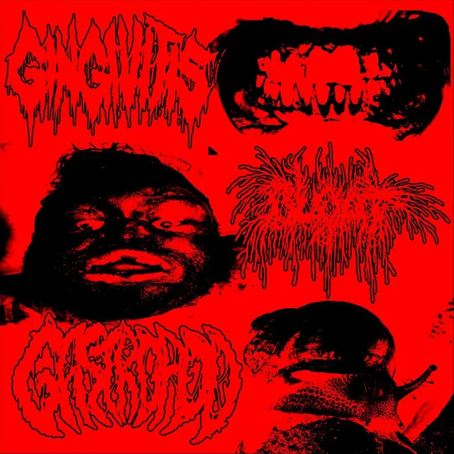 Gingivitis / Bloat / Gastropod cover