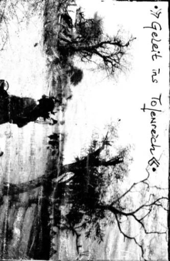 Geleit ins Totenreich cover