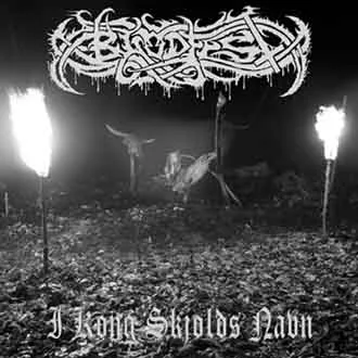 I kong Skjolds navn cover