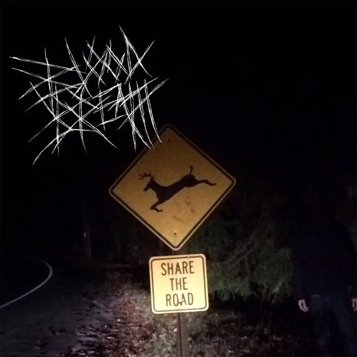 Share the Road cover