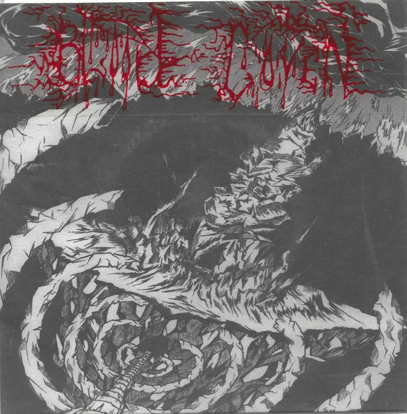 True Fucking Metal (a Tribute to Warriors Lost) cover