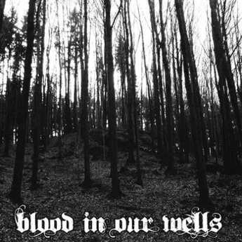 Blood in Our Wells cover
