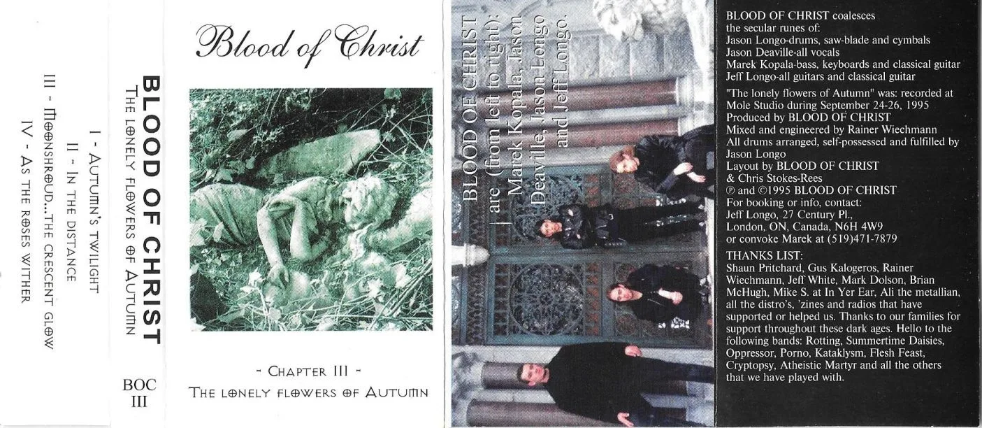 The Lonely Flowers of Autumn cover