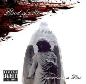 Gracefulness Is Lost cover