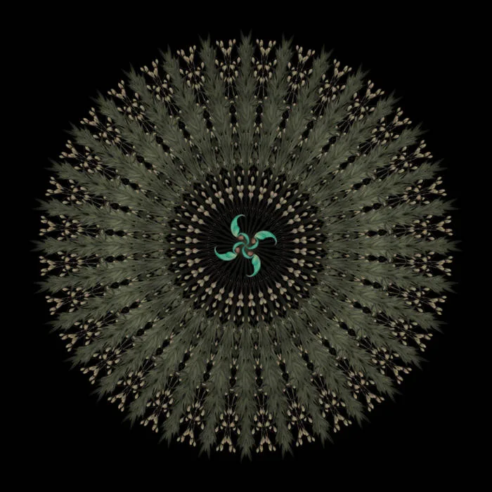 Rivers Within Shadows cover